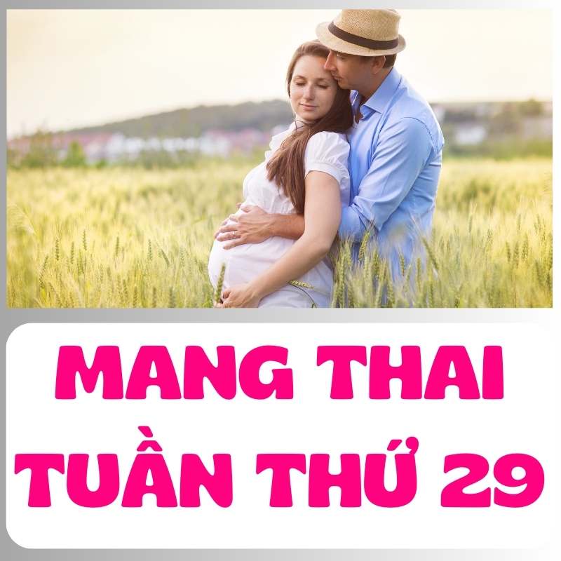 Ông bố và mẹ bầu tuần 29